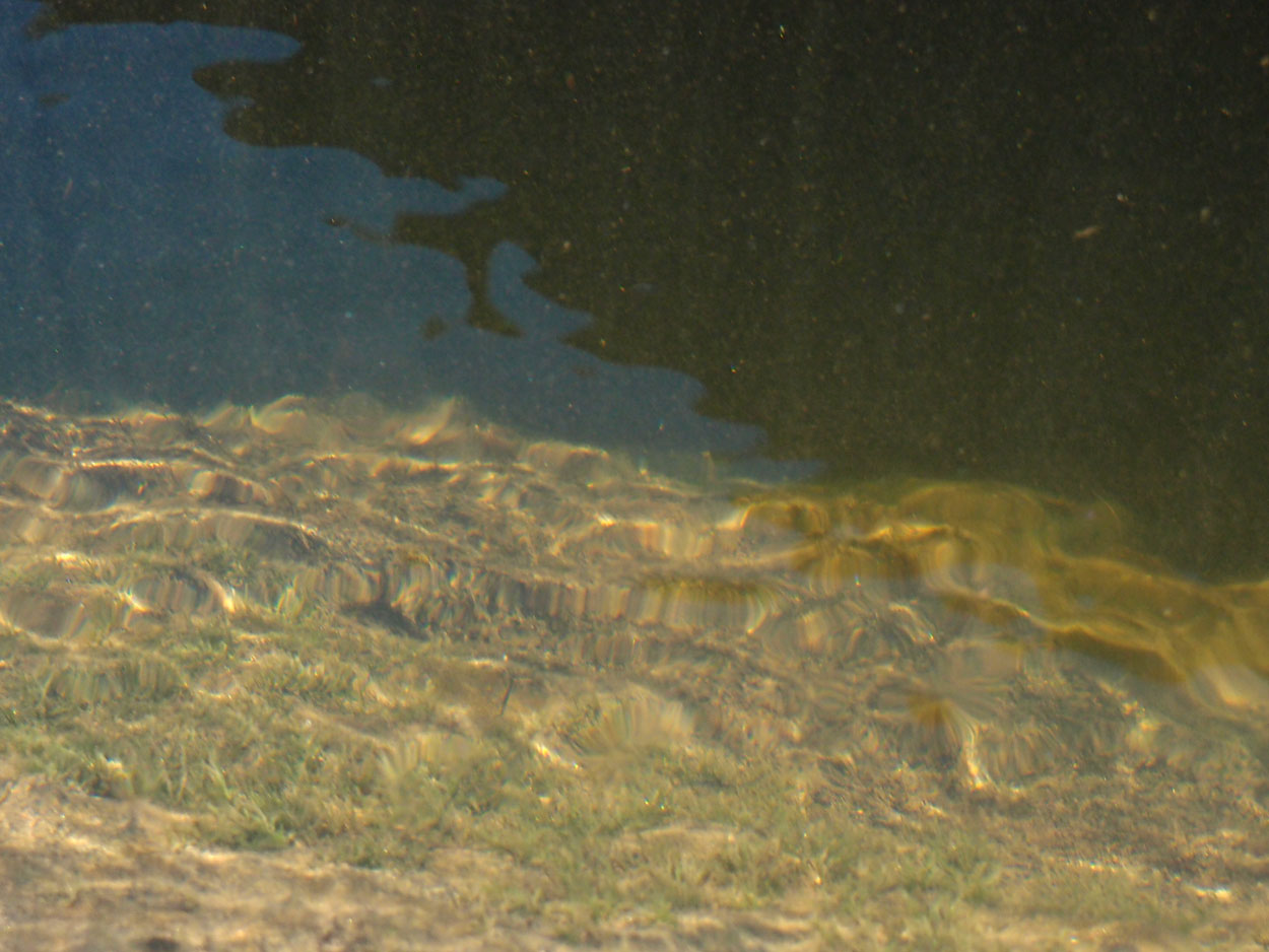 2016-02-10 am Fluss (Foto, Video)